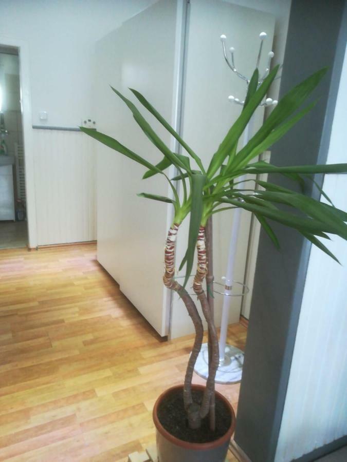 Zentral Gelegene Wohnung In Velbert-Mitte Экстерьер фото